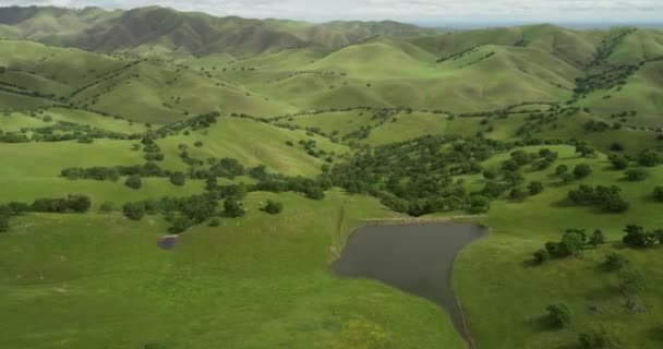 Upper Cottonwood Creek Wildlife Area Mit San Luis Reservoir Hintergrund — Stockvideo