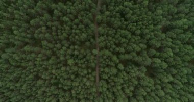 Litvanya, Vilnius İş Bölgesi. İş Binası Üzerine Luminor Banka Binası ve Adı.