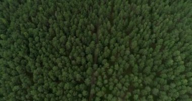 Litvanya, Vilnius İş Bölgesi. İş Binası Üzerine Luminor Banka Binası ve Adı.