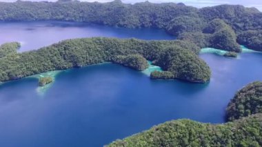 Koror Adası 'nın havadan görünüşü. Bir sürü Yeşil İslet. Renkli mercan resifleri ve tropikal gölleri olan deniz burnu. İHA.