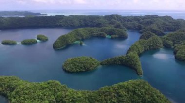 Koror Adası 'nın havadan görünüşü. Bir sürü Yeşil İslet. Renkli mercan resifleri ve tropikal gölleri olan deniz burnu. İHA.