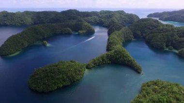 Koror Adası 'nın havadan görünüşü. Bir sürü Yeşil İslet. Arka planda renkli mercan resifleri ve tropikal gölleri olan Palau Deniz Burnu. İHA.
