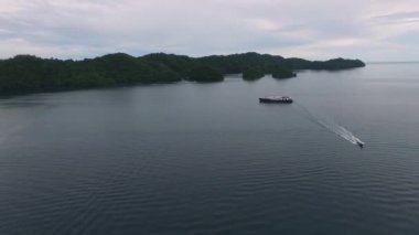 Palau 'daki Koror adasının deniz manzarası. Arka planda gemi ve feribot. Tekne. İHA.