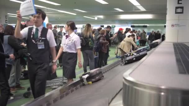 Haneda International Airport Tokio Gepäckband Gepäckband — Stockvideo