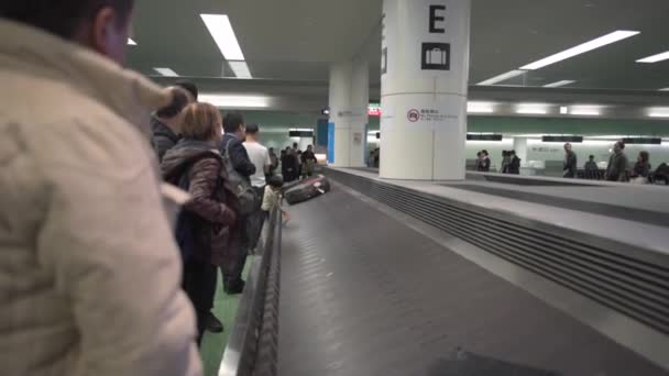 Aeroporto Internazionale Tokyo Haneda Cintura Bagagli Giostra Bagagli — Video Stock