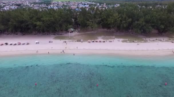 모리셔스 플래크 인도양 연안에 위치한다 주민들 관광객들 배경의 — 비디오