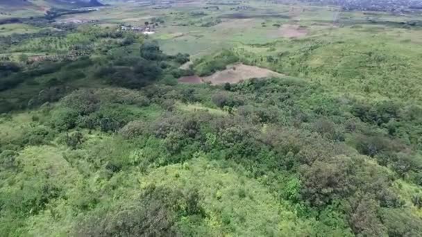 Природний Парк Сім Кольорів Землі Шамарелі Ліси Джунглі Маврикії Чудовий — стокове відео
