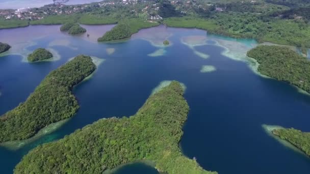 Aerial View Koror Island Many Green Islets Palau Seascape Colorful — Stock Video