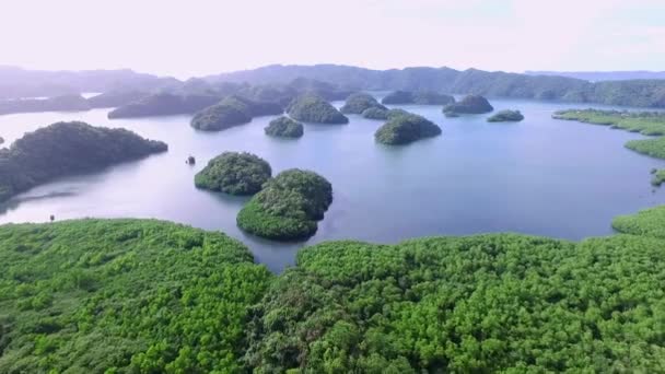 Flygfoto Över Koror Island Många Lummiga Gröna Öar Havslandskap Med — Stockvideo