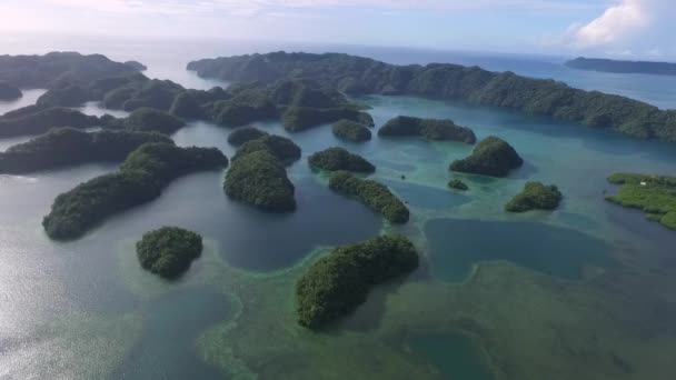 Aerial View Koror Island Many Lush Green Islets Seascape Colorful — Stock Video