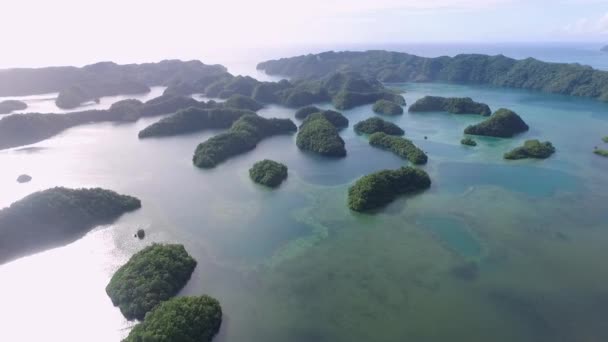 Αεροφωτογραφία Του Νησιού Koror Πολλά Πολυτελή Πράσινα Έλκηθρα Θαλάσσιο Τοπίο — Αρχείο Βίντεο