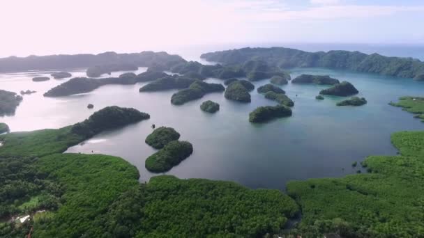 Widok Lotu Ptaka Wyspę Koror Wiele Zielonych Wysepek Przylądek Morski — Wideo stockowe