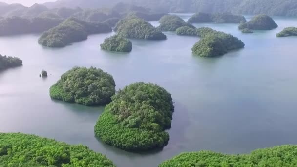 コロール島の空中ビュー 多くの緑豊かな島 カラフルなコーラルリーフとトロピカルラグーンで海の景色 パラオの空中風景 ドローン — ストック動画