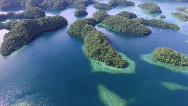 Повітряний Вид Острів Корор Багато Зелених Островів Море Барвистими Кораловими — стокове відео