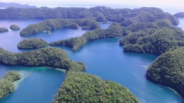 Vista Aérea Isla Koror Muchos Isletas Verdes Paisaje Marino Con — Vídeo de stock