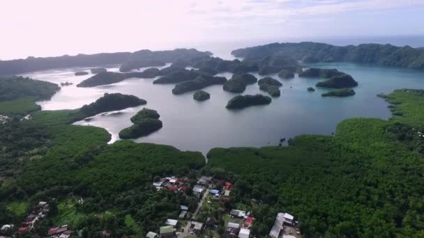 高乐岛的空中景观 许多绿岛郁郁葱葱 海景与五彩缤纷的珊瑚礁和热带泻湖 帕劳的空中景观 — 图库视频影像
