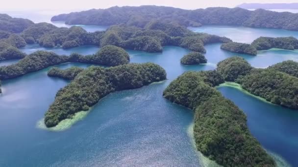 Vista Aérea Isla Koror Muchos Isletas Verdes Paisaje Marino Con — Vídeos de Stock