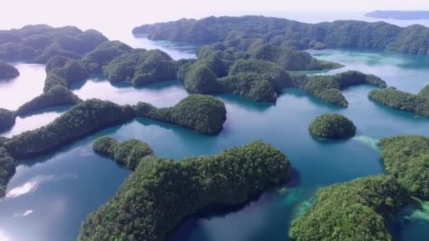 Vue Aérienne Île Koror Beaucoup Îlots Verts Paysage Marin Avec — Video