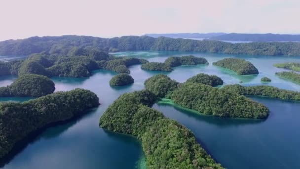 Luchtfoto Van Koror Island Veel Groene Isletten Zeegezicht Met Kleurrijke — Stockvideo