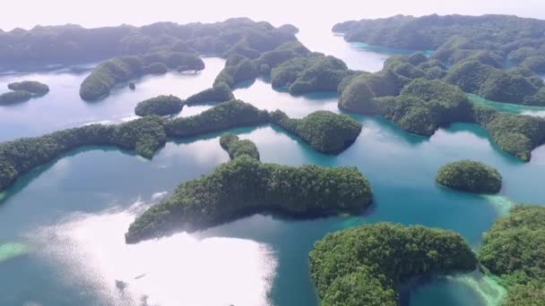 Koror Adası Nın Havadan Görünüşü Bir Sürü Yeşil Slet Renkli — Stok video
