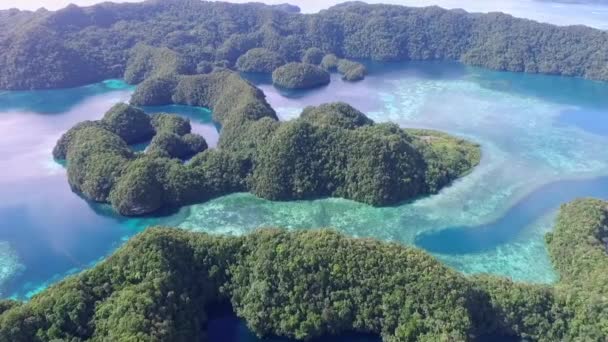 Aerial View Koror Island Many Green Islets Seascape Colorful Coral — Stock Video