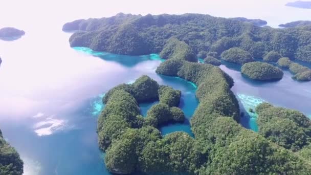 Luchtfoto Van Koror Island Veel Groene Isletten Zeegezicht Met Kleurrijke — Stockvideo