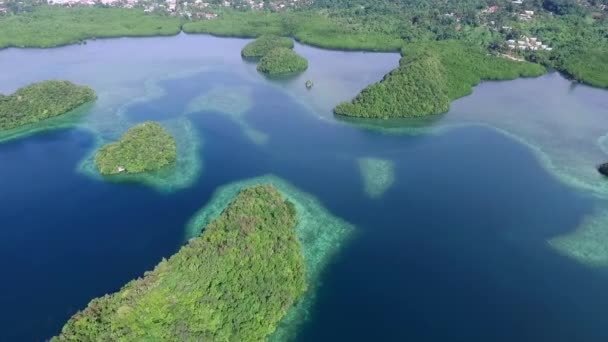 코로르 녹색의 섬들이 산호초와 석호가 아름다운 — 비디오