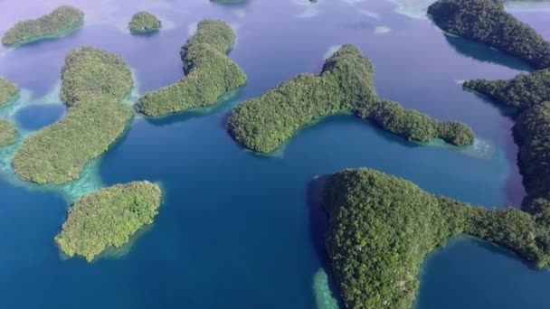 コロール島の空中ビュー 緑の島が多い カラフルなコーラルリーフとトロピカルラグーンで海の景色 ドローン — ストック動画