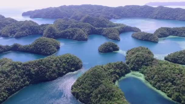 コロール島の空中ビュー 緑の島が多い カラフルなコーラルリーフとトロピカルラグーンで海の景色 ドローン — ストック動画