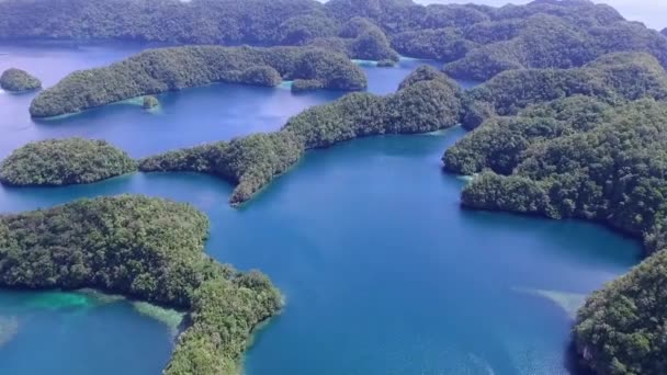 高洛岛的空中景观 许多绿岛 海景与五彩缤纷的珊瑚礁和热带泻湖 — 图库视频影像