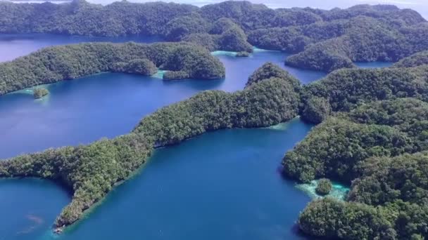 Letecký Pohled Ostrov Koror Mnoho Zelených Ostrovů Seascape Barevnými Korálovými — Stock video