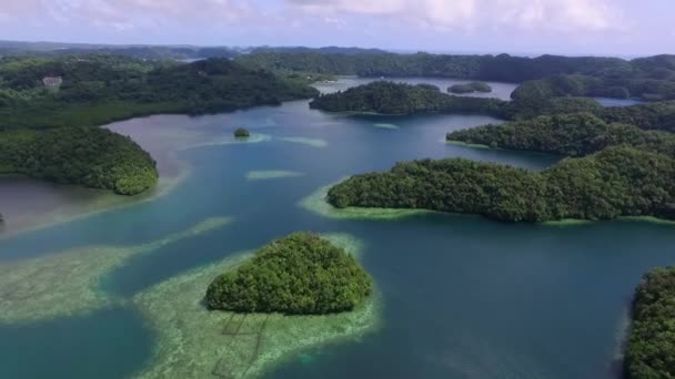 Aerial View Koror Island Many Green Islets Seascape Colorful Coral — Stock Video