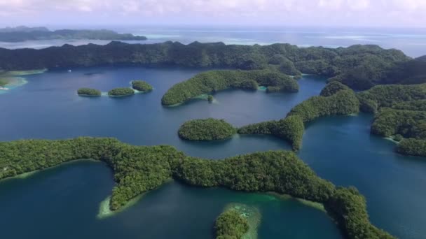 Αεροφωτογραφία Του Νησιού Κόρορ Πολλά Πράσινα Άλογα Θαλάσσιο Τοπίο Palau — Αρχείο Βίντεο