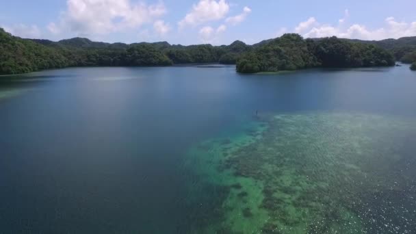 コロール島の空中ビュー 緑の島が多い 背景にカラフルなサンゴのサンゴ礁と熱帯ラグーンとパラオの海 ドローン — ストック動画