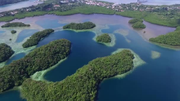 Aerial View Koror Island Many Green Islets Palau Seascape Colorful — Stock Video