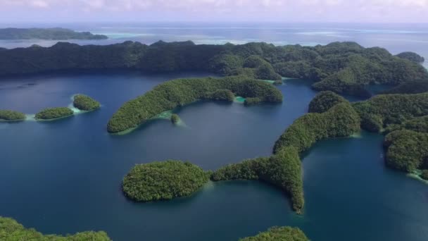 高洛岛的空中景观 许多绿岛 以五彩斑斓的珊瑚礁和热带泻湖为背景的帕劳海景 — 图库视频影像