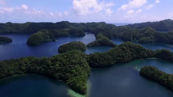 코로르 녹색의 섬들이 Palau Seascape Colorful Coral Reefs Tropical Lagoons — 비디오