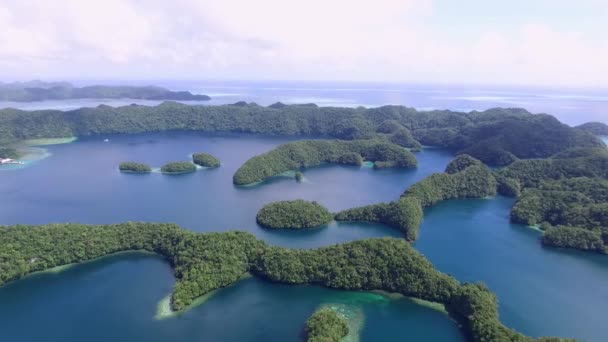 Vista Aérea Isla Koror Muchos Isletas Verdes Palau Seascape Colorful — Vídeo de stock
