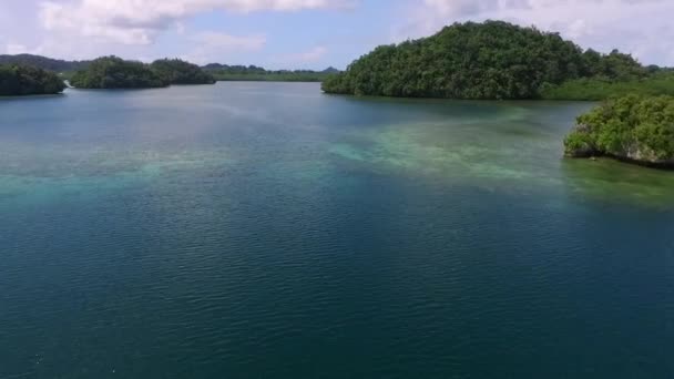 Vista Aerea Dell Isola Koror Molte Isole Verdi Palau Seascape — Video Stock