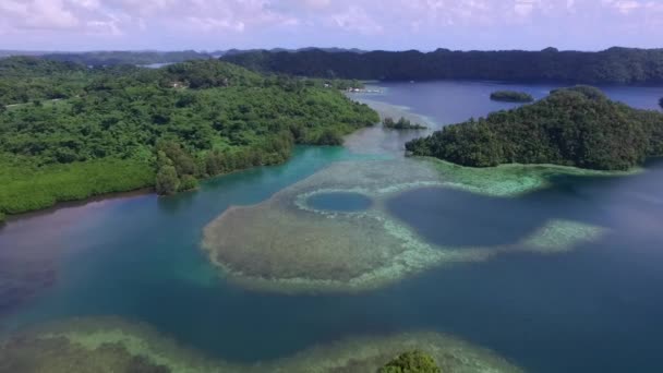 코로르 녹색의 섬들이 Palau Seascape Colorful Coral Reefs Tropical Lagoons — 비디오