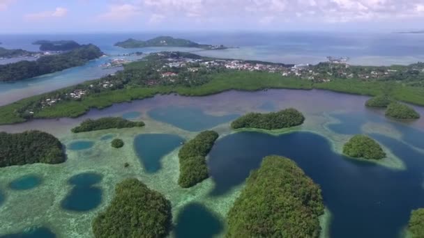 Vista Aérea Isla Koror Muchos Isletas Verdes Palau Seascape Colorful — Vídeo de stock