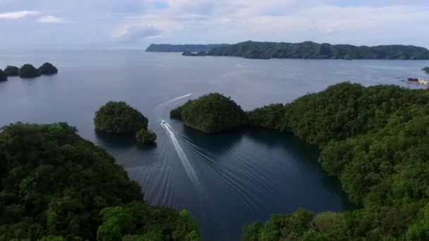 在帕劳科洛岛的海景号潜水艇 背景清澈的水 — 图库视频影像