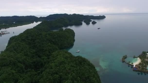 パラオのコロール島 海とロング島公園 フェリーやボートを背景に ドローン — ストック動画