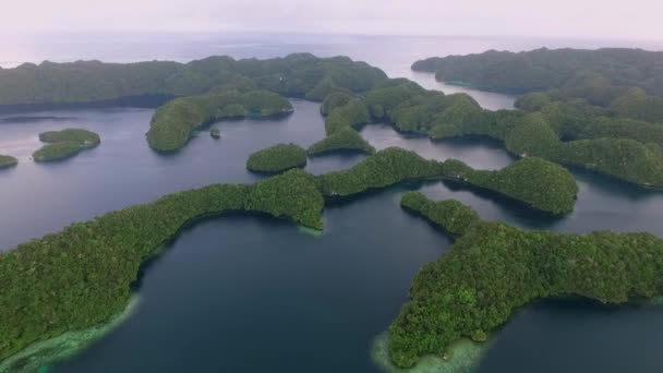 Вид Воздуха Остров Корор Много Зеленых Островов Морской Пейзаж Палау — стоковое видео