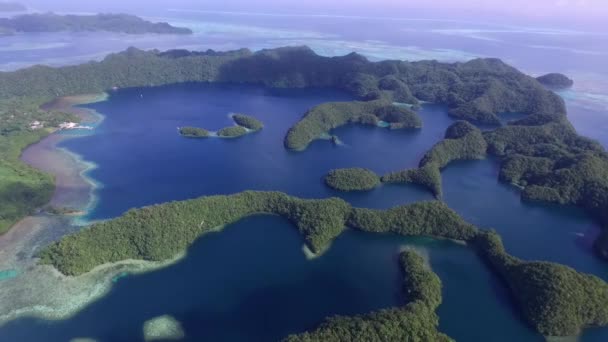 コロール島の空中ビュー 緑の島が多い カラフルなサンゴのサンゴ礁と熱帯ラグーンとパラオの海 都市景観を背景に ドローン — ストック動画