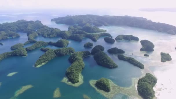 高洛岛的空中景观 许多绿岛 拥有五彩缤纷的珊瑚礁和热带泻湖的帕劳海景 背景中的城市景观 — 图库视频影像