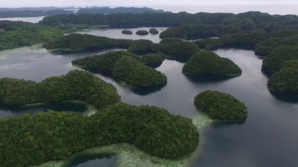 Palau Koror Island Área Con Muchos Islotes Pequeños Fondo Arrecifes — Vídeos de Stock