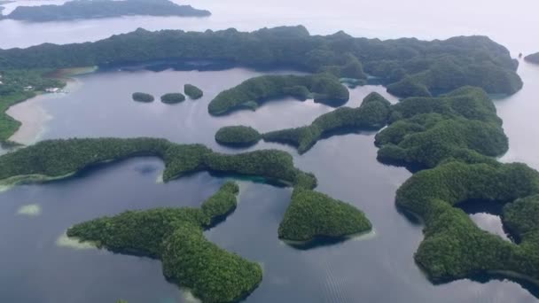 Palau Koror Island Area Many Small Islets Background Coral Reefs — Stock Video