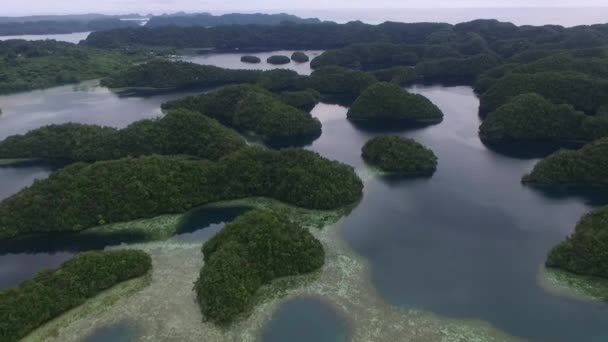 Palau Koror Island Area Con Molte Piccole Isole Sullo Sfondo — Video Stock