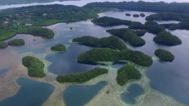 帕劳和科洛尔岛背景上有许多小岛 珊瑚礁和泻湖 — 图库视频影像